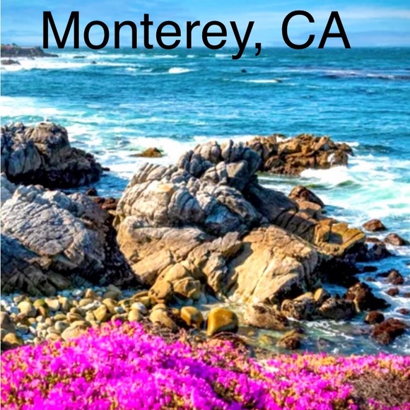 🐈‍⬛Cat Mom🐾 BAY AREA Native😎, GSW Dubs🏀,49er Faithful🏈,SF Giants⚾️UCLA Alum - Picture 10 of 16